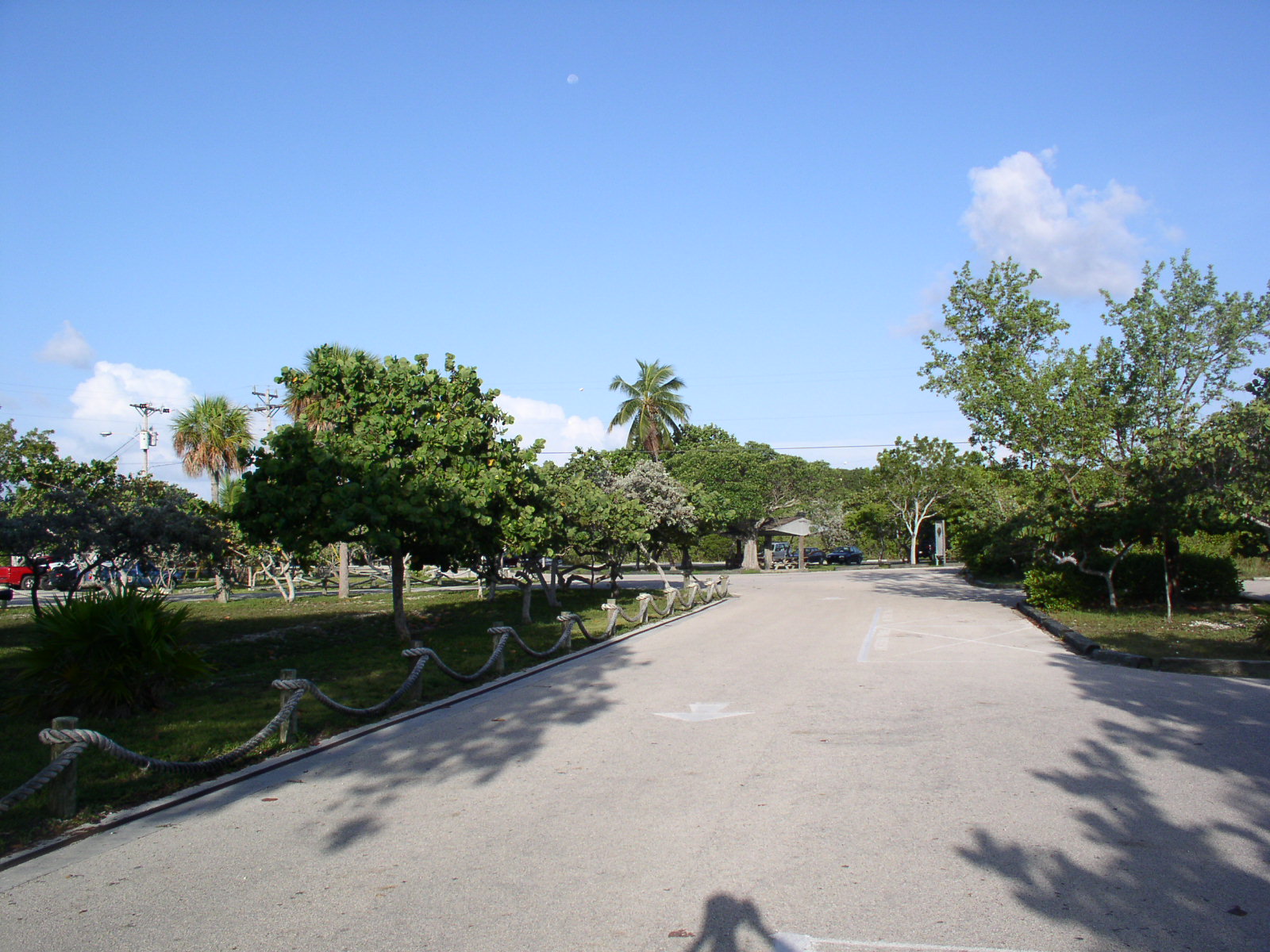 photo1